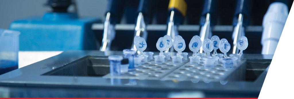 Scientist with tweezers works over assembly line of vials | CNA Insurance 
