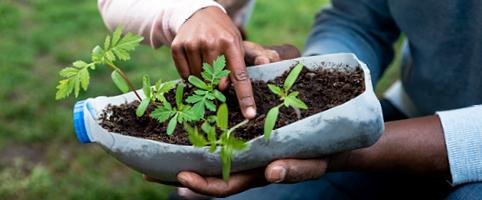 Plant growing in hand l CNA Insurance